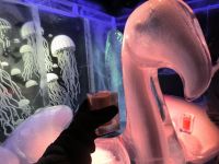 Stockholm. ICE-Bar