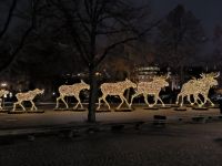 Stockholm. Rentier-Alarm