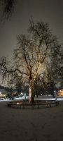 Winterlandschaft &ndash; &copy; Sylvia Führ (Eberhardt TRAVEL)
