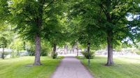 Friedhof Mariefred  &ndash; &copy; Allina Anderer (Eberhardt TRAVEL)