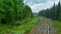 Inlandsbahn längs durch Lappland &ndash; &copy; Martin Büchner (Eberhardt TRAVEL)