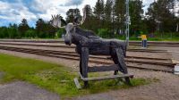 Arvidsjaur, Norrbotten.jpg &ndash; &copy; Martin Büchner (Eberhardt TRAVEL)