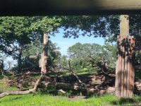 Stockholm. Skansen. Wo ist der Elch? &ndash; &copy; Heike Jack (Eberhardt TRAVEL)