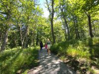 Stockholm. Schlosspark Drottningholm &ndash; &copy; Heike Jack (Eberhardt TRAVEL)