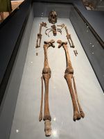 Stockholm - Vasa Museum  &ndash; &copy; Sabine Letzybyll (Eberhardt TRAVEL)