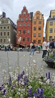 Städtereise Stockholm - Stortorget in der Gamla Stan &ndash; &copy; Franziska Bergmann (Eberhardt TRAVEL)