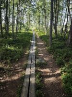 Weg im Store Mosse &ndash; &copy; Peter Walther (Eberhardt TRAVEL)