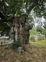 Garten von Astrid Lindgren &ndash; &copy; Peter Walther (Eberhardt TRAVEL)
