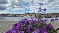 Blick auf Gamla Stan &ndash; &copy; Sinah Witzig (Eberhardt TRAVEL)