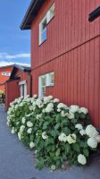 Vaxholm &ndash; &copy; Sinah Witzig (Eberhardt TRAVEL)