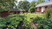 Skansen &ndash; &copy; Sinah Witzig (Eberhardt TRAVEL)