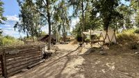 Wikingerhäuser, Birka &ndash; &copy; Mareike Schmidt (Eberhardt TRAVEL)