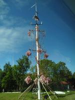 Der höchste Midsommerbaum der Welt &ndash; &copy; Peter Rudolph (Eberhardt TRAVEL)