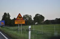 Elchschild &ndash; &copy; Martin Büchner (Eberhardt TRAVEL)