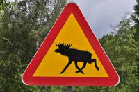 Elchwarnschild &ndash; &copy; Martin Büchner (Eberhardt TRAVEL)