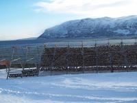 Fotostopp am Porsangerfjord