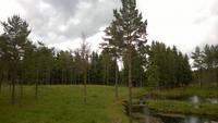 Elchpark &ndash; &copy; Dorothea Baumert (Eberhardt TRAVEL)