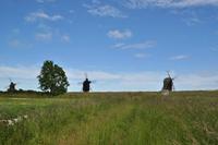 Mühlen von Lerkaka auf Öland &ndash; &copy; Martin Büchner (Eberhardt TRAVEL)