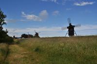Mühlen von Lerkaka auf Öland &ndash; &copy; Martin Büchner (Eberhardt TRAVEL)