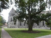 Dom zu Lund &ndash; &copy; Michael Krause (Eberhardt TRAVEL)
