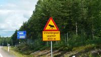 Elchwarnschild &ndash; &copy; Martin Büchner (Eberhardt TRAVEL)