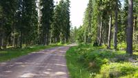 Småland &ndash; &copy; Martin Büchner (Eberhardt TRAVEL)