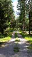 Småland &ndash; &copy; Martin Büchner (Eberhardt TRAVEL)