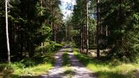 Småland &ndash; &copy; Martin Büchner (Eberhardt TRAVEL)