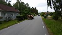 Visingsö &ndash; &copy; Martin Büchner (Eberhardt TRAVEL)