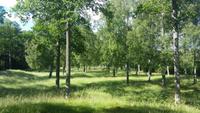 Visingsö &ndash; &copy; Martin Büchner (Eberhardt TRAVEL)