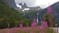 Landschaft