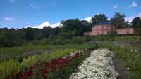 Rosendals Trädgaard &ndash; &copy; Dorothea Baumert (Eberhardt TRAVEL)