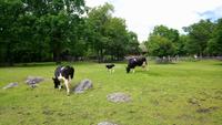 Skansen7 &ndash; &copy; Katrin Kerpa (Eberhardt TRAVEL)