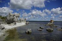 Gotland_Sankt_Olofsholm_Naturreservat (6) &ndash; &copy; Andreas Höhn (Eberhardt TRAVEL)