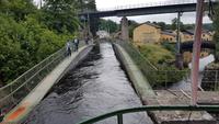 Dalslandkanal &ndash; &copy; Kristina Hesse (Eberhardt TRAVEL)
