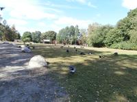 Stockholm Skansen &ndash; &copy; Ingrid Langer (Eberhardt TRAVEL)