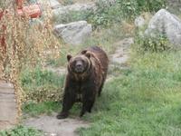 Stockholm Skansen &ndash; &copy; Ingrid Langer (Eberhardt TRAVEL)