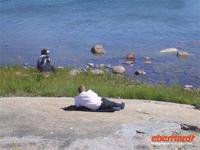 Ruhe in Vardö &ndash; &copy; Peter Rudolph (Eberhardt TRAVEL)