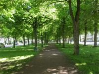 Mariehamns Hauptstrasse &ndash; &copy; Peter Rudolph (Eberhardt TRAVEL)