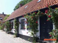 Auch in Simrishamn Rosen über Rosen &ndash; &copy; Peter Rudolph (Eberhardt TRAVEL)