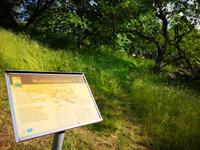 1248 Erklärungen zum Maulbeerwald &ndash; &copy; Armin Harsdorff (Eberhardt TRAVEL)