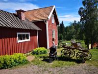 2444 „Kutschen-Treffen“  &ndash; &copy; Armin Harsdorff (Eberhardt TRAVEL)