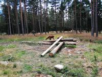 elchpark (2) &ndash; &copy; Katrin Kerpa (Eberhardt TRAVEL)