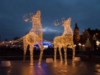 Stockholmsjul (Weihnachtsbeleuchtung) &ndash; &copy; Anna Stiebing (Eberhardt TRAVEL)