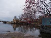 Waxholm &ndash; &copy; Anna Stiebing (Eberhardt TRAVEL)