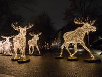 Stockholmsjul (Weihnachtsbeleuchtung) &ndash; &copy; Anna Stiebing (Eberhardt TRAVEL)