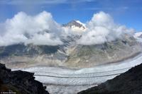 Aletschhorn &ndash; &copy; Martin Büchner (Eberhardt TRAVEL)
