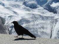  Zermatt - auf dem Gornergrat &ndash; &copy; Annette Weise (Eberhardt TRAVEL)