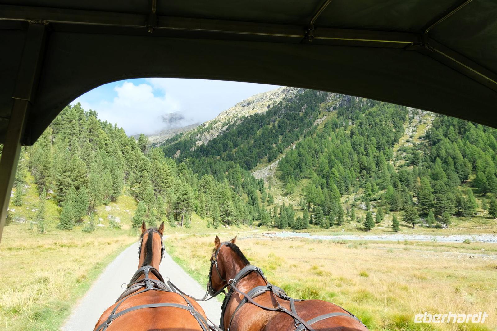 Kutschfahrt zum Val Rosegg &ndash; &copy; Andreas Kunzmann (Eberhardt TRAVEL)