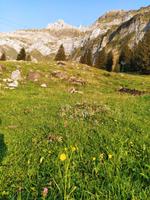 20200913 Der Säntis &ndash; &copy; Michaela Sailer (Eberhardt TRAVEL)